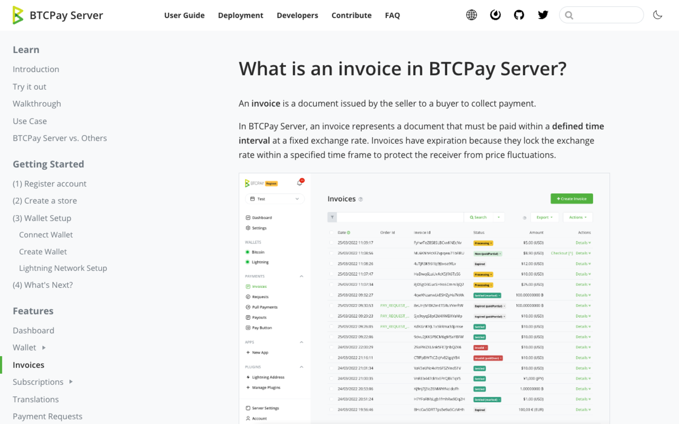 The BTCPay Server documentation page explaining what an invoice is, the source for its per-store expiry setting and its paidLate and paidPartial states