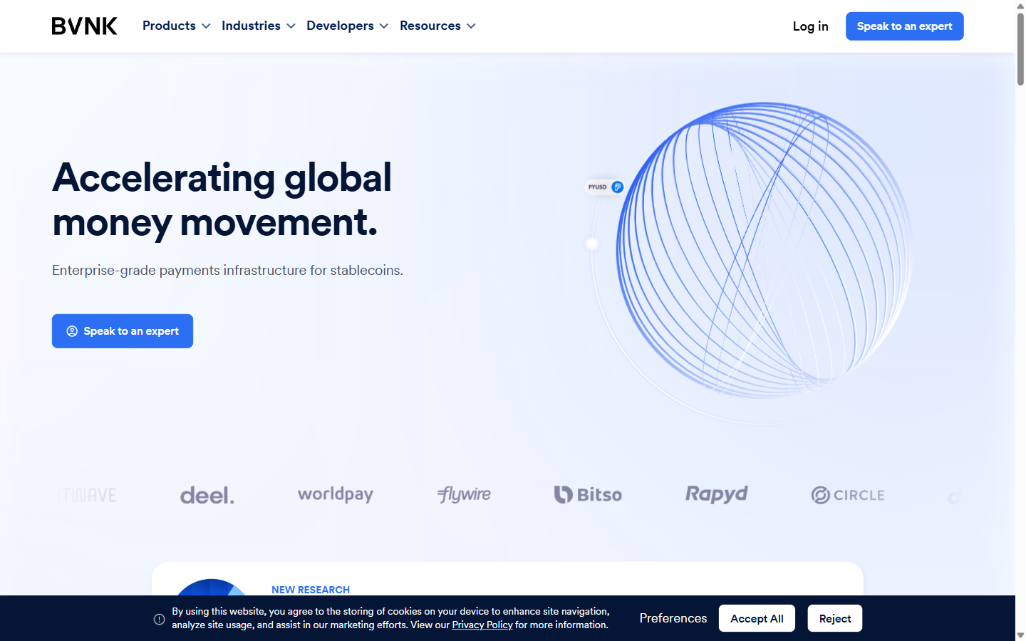 BVNK enterprise stablecoin payment platform